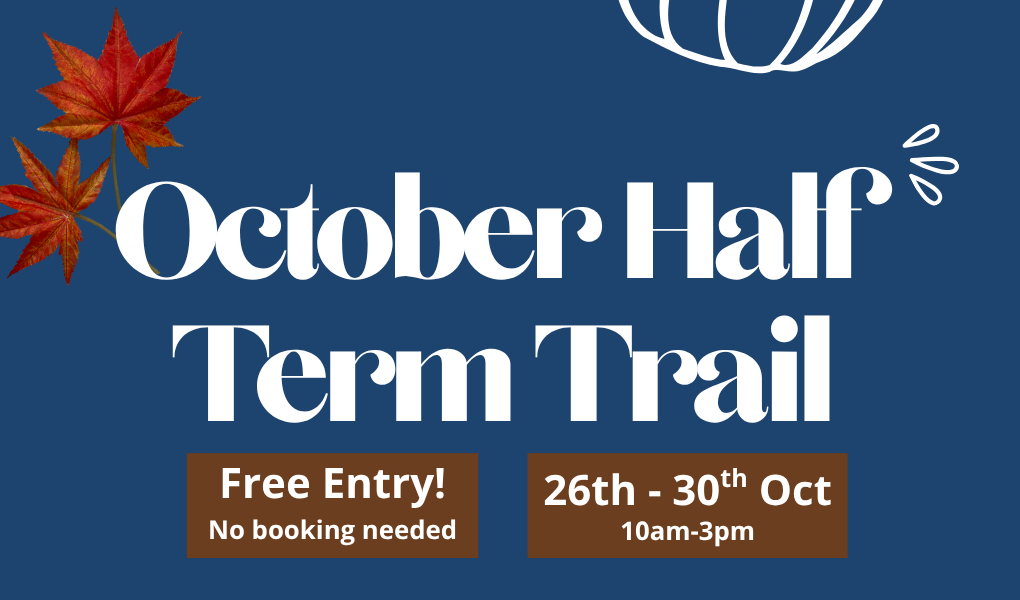 October Half Term at East Grinstead Sports Club